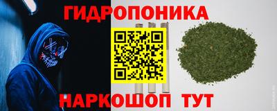 крисы Пыть-Ях