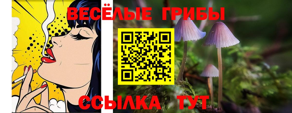 Галлюциногенные грибы Magic Shrooms  Вход с VPN  Находка 