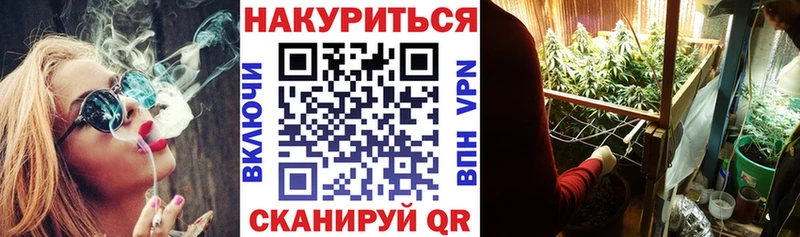 Каннабис OG Kush  Находка 